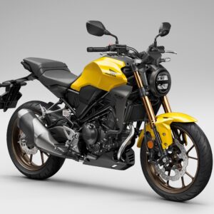 22YM Honda CB300R